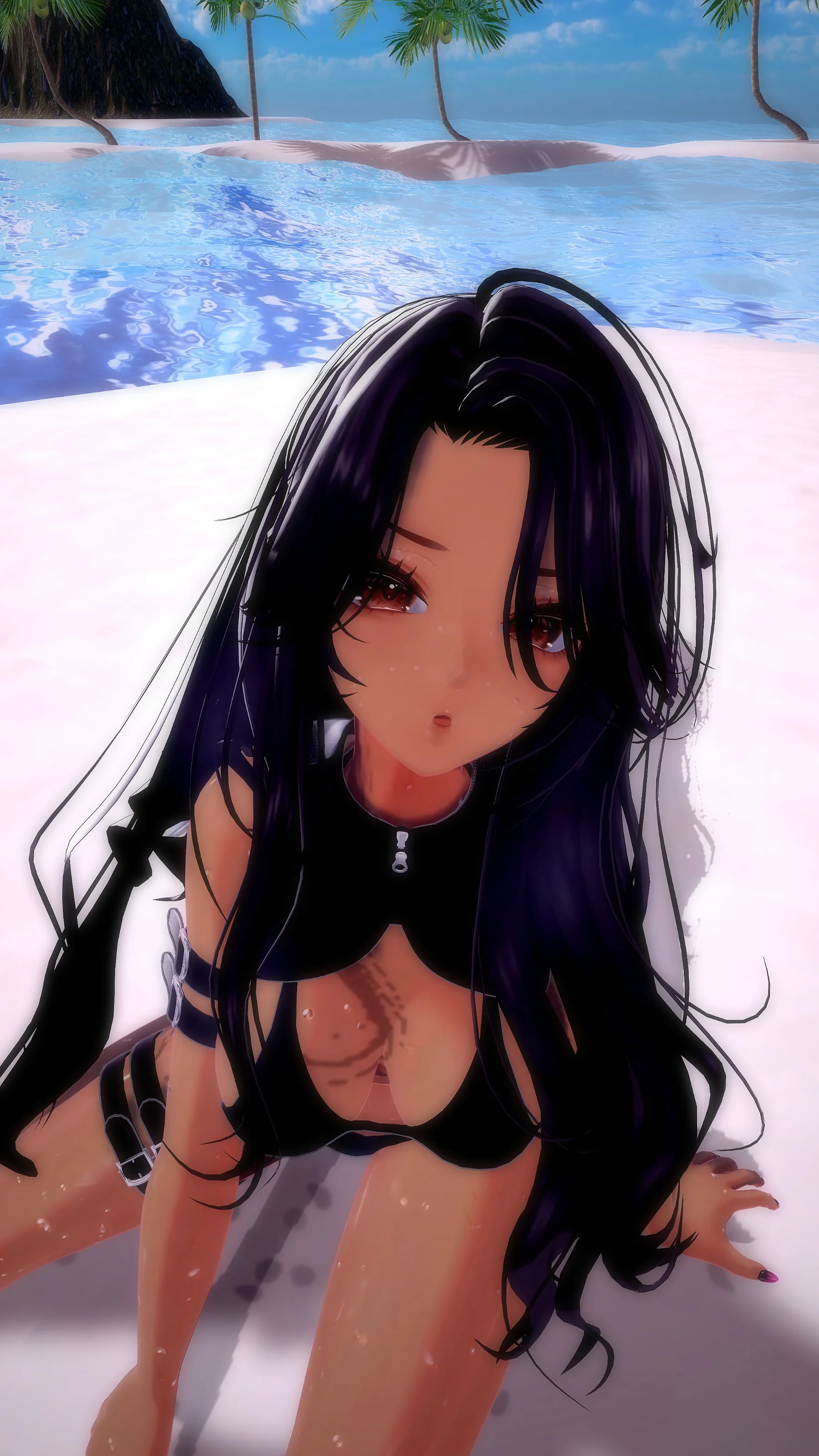 褐色フォトコンの応募画像