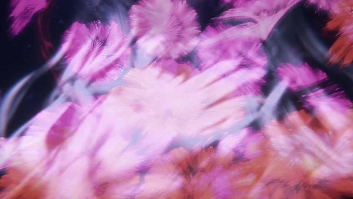 「心華（しんか）」の応募画像
