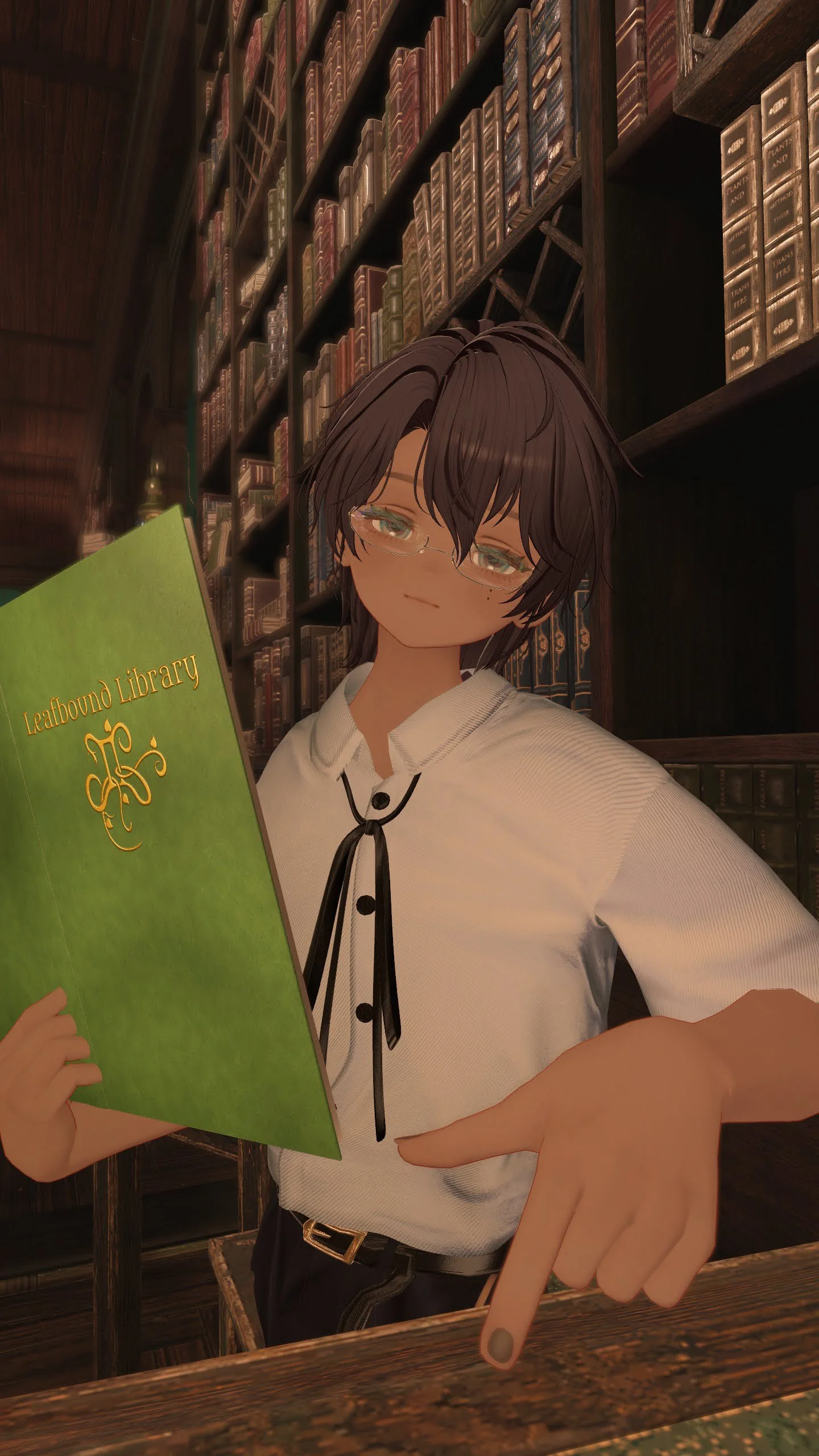 夏休みの図書室で出会ったお姉さんかお兄さんか分からないミステリアスな人の応募画像