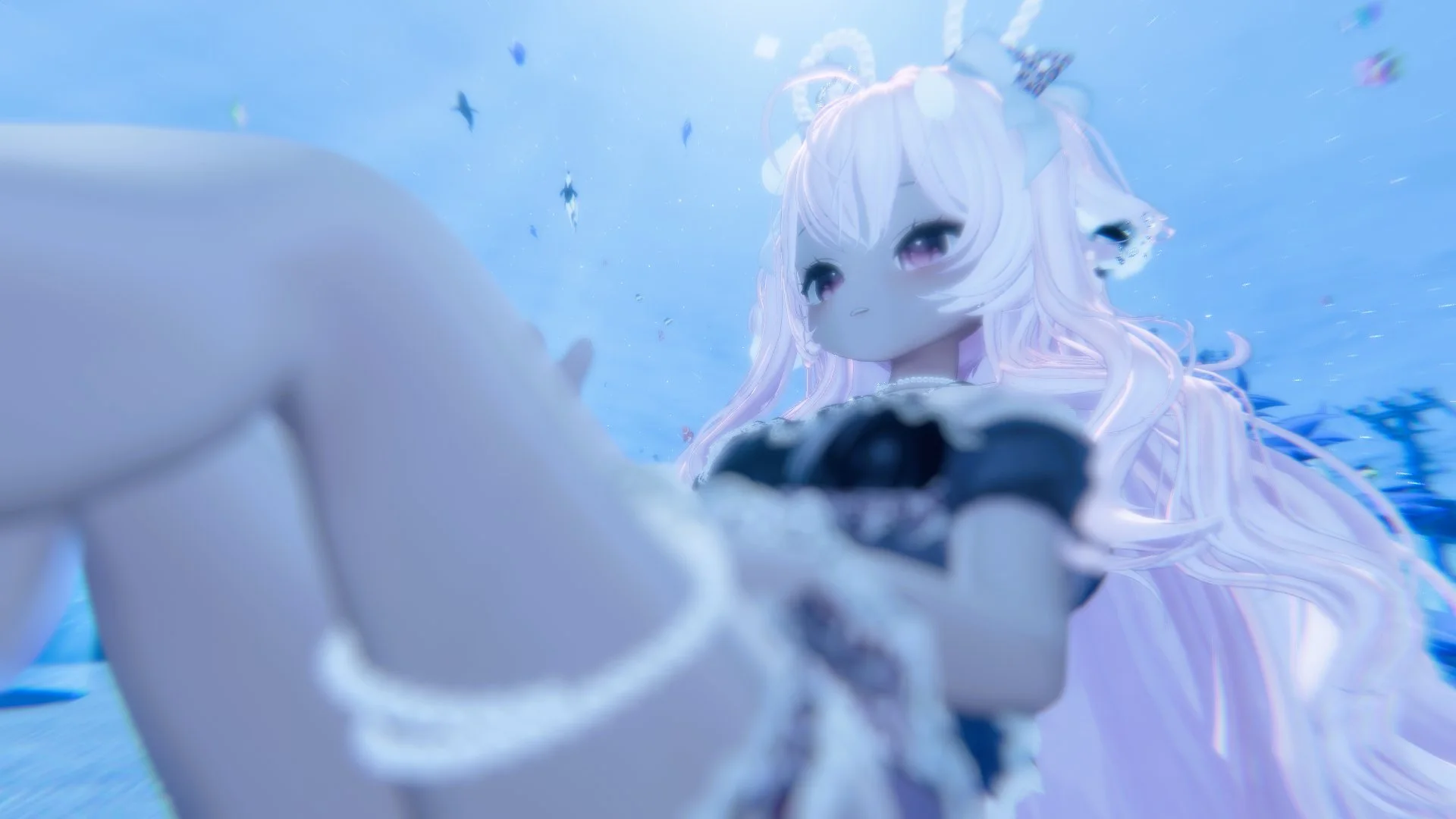 ぷかの応募画像
