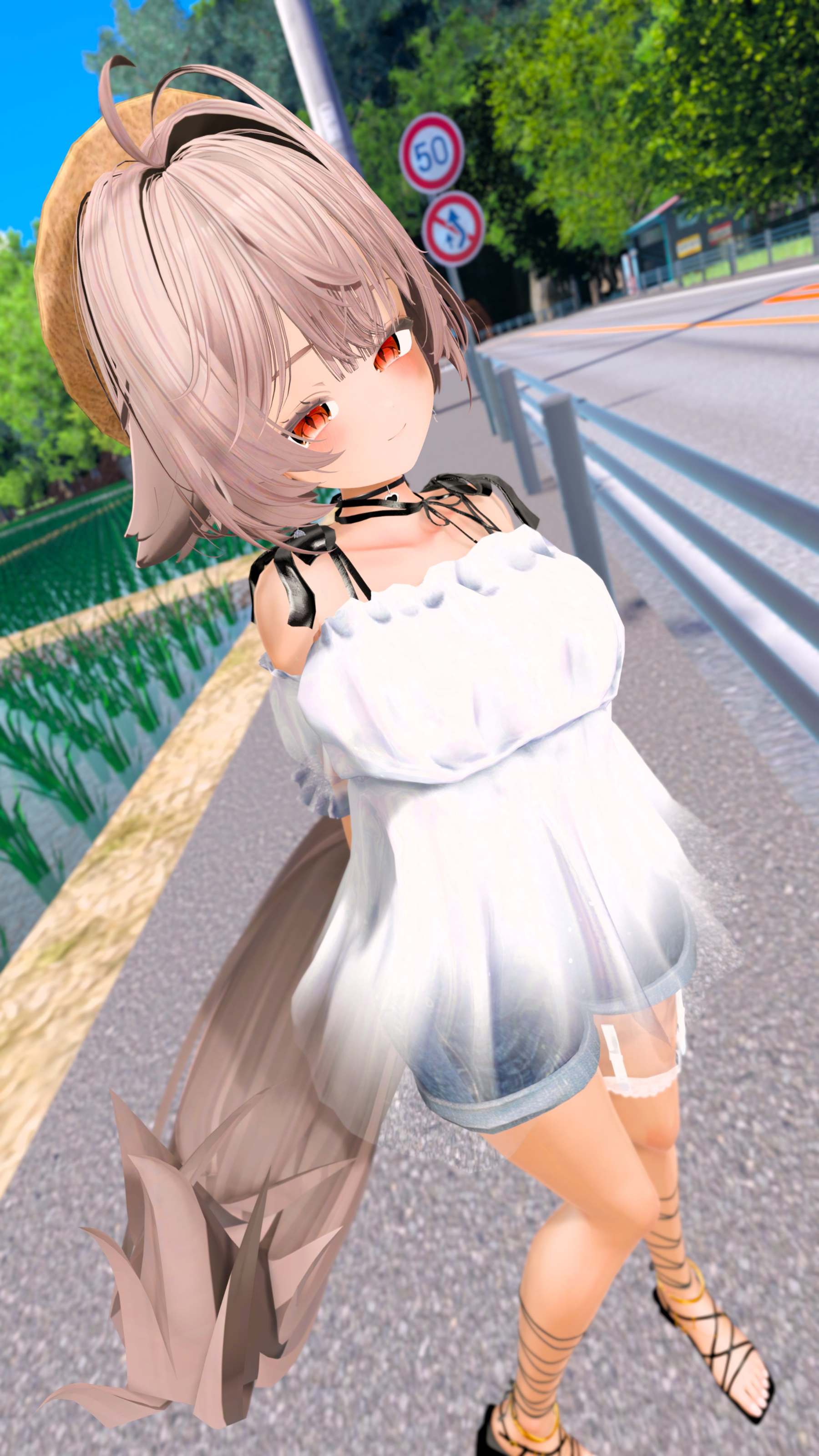 褐色フォトコンの応募画像