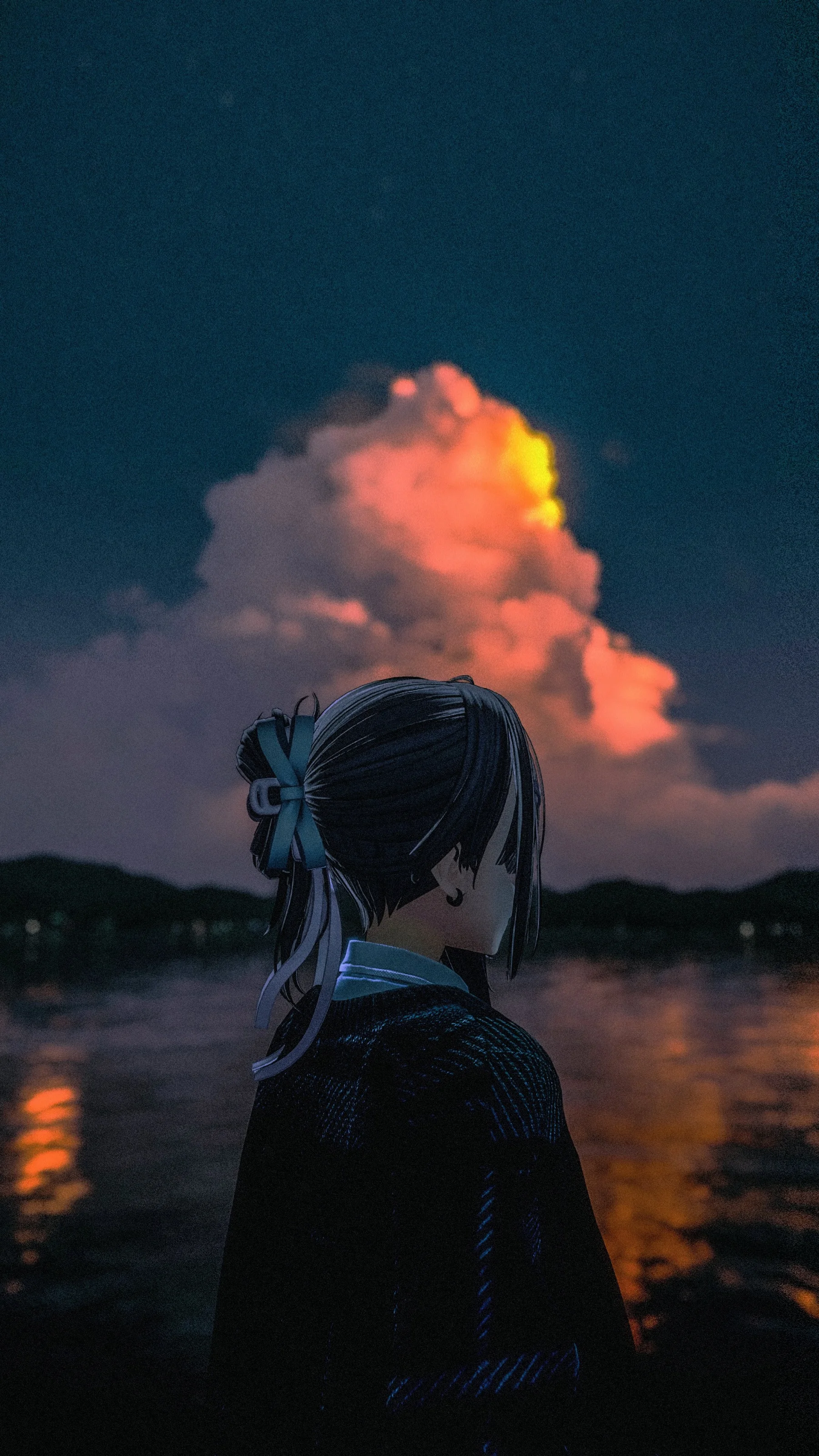 遠くの応募画像