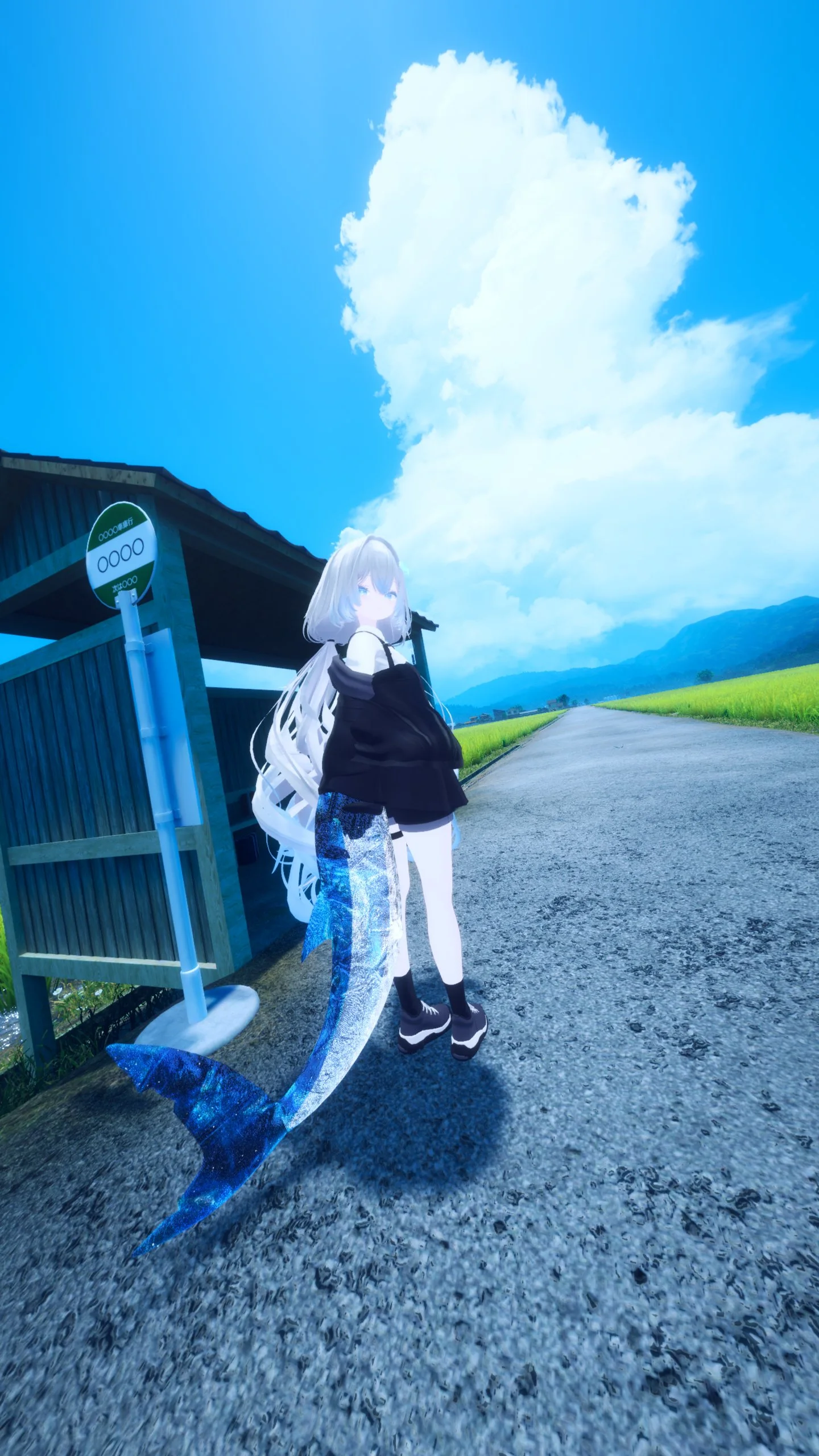 「夏の途中で、君と」の応募画像