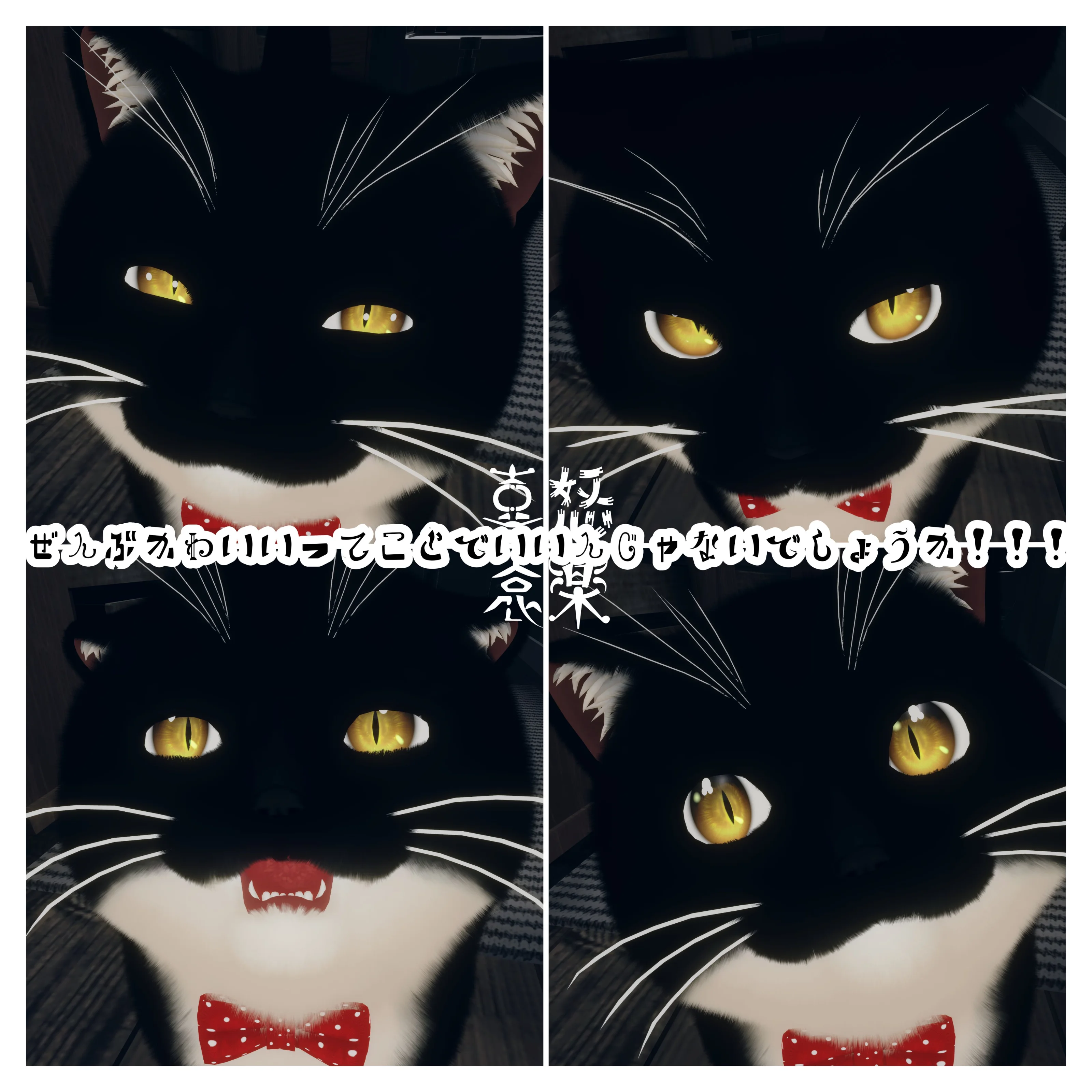 いきおいってだいじだよね　ねこだもの　ぱすとの応募画像
