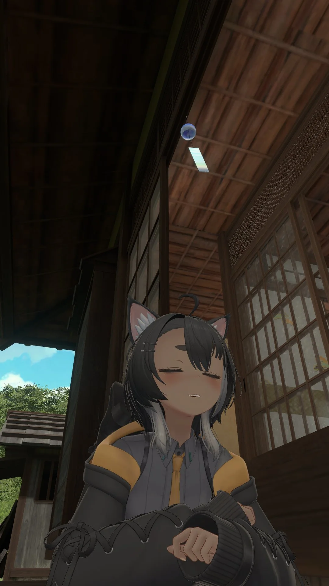 夏猫の応募画像